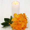 Candle for notice Carole PARSONS