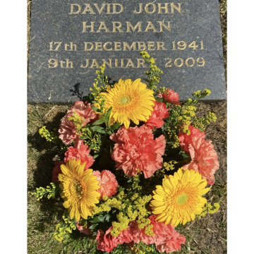 Photo for notice Dave DEE