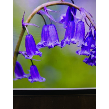 Photo for notice Andy Peter Dec DEXTER