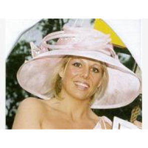 Photo of LISA