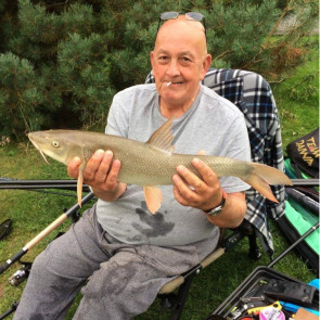 Photo of Steven BOULTON