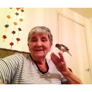 Photo for notice ANNE DOREEN PHEASEY