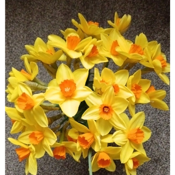 Photo for notice MALCOLM ROWLANDS -