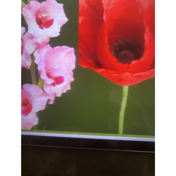 Photo for notice Ivan John DEXTER