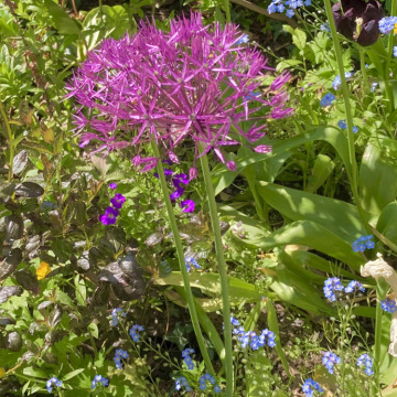 Notice Gallery for Brian GREEN