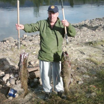 Photo of Colin COX