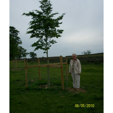 Photo of Catherine Ann PURVIS