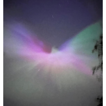 Notice Gallery for Albert WEST