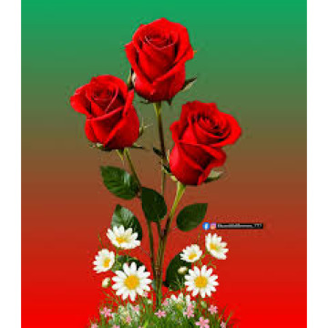 Photo for notice Barbara FLINTHAM