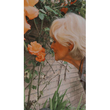 Photo of Barbara DILKS