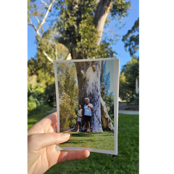 Notice Gallery for Margaret Ann MURRAY