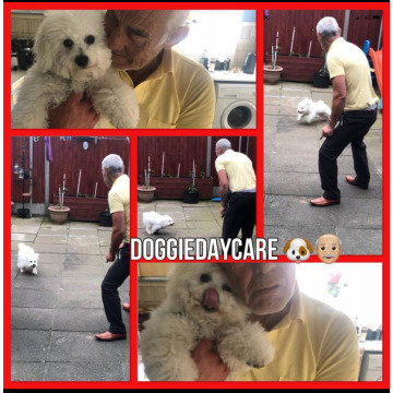 Notice Gallery for Conrad MCCARROLL