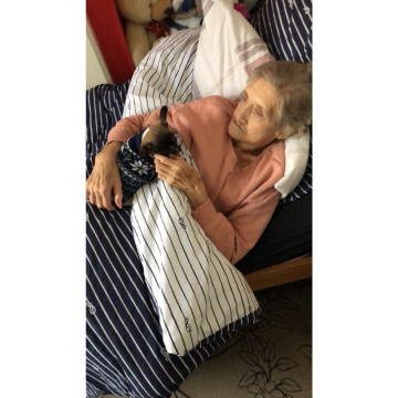 Notice Gallery for Kathleen FREEMAN