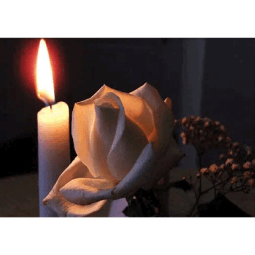 Photo for notice Norma ANNAND