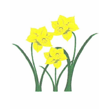 Notice Gallery for Eirwen DAVIES