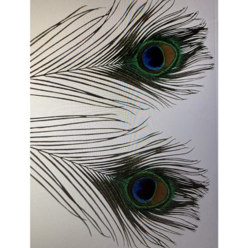 Notice Gallery for Mary BOWMAKER