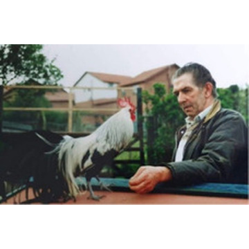 Photo of Goronwy PARRY