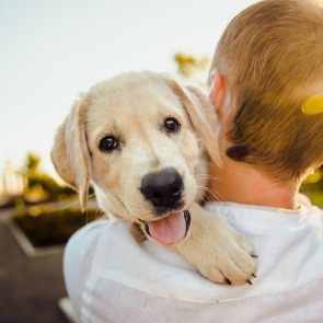 what_will_happen_to_my_pet_when_i_die_photo_right_0