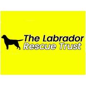 donation charity logo