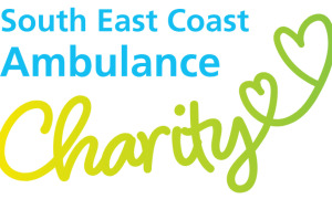 Logo Banner
